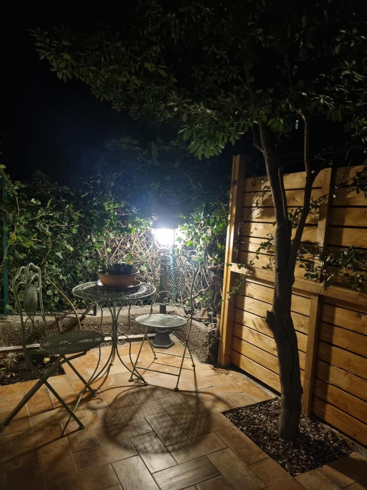 Cavana Cosy Apartment With Garden Near The Sea Trieste Exteriör bild